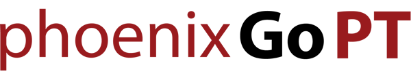 phoenixGo PT-logo_2024 logo text